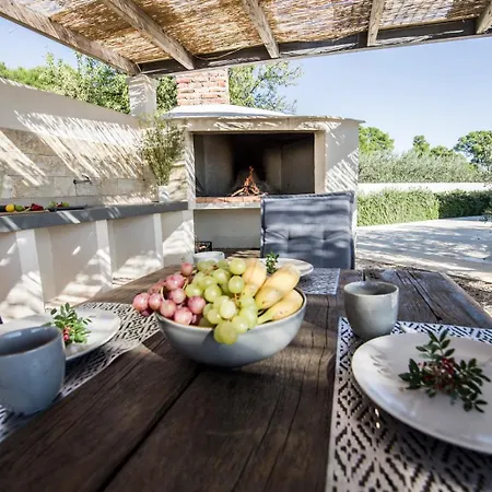 The Olive Tree فيلة