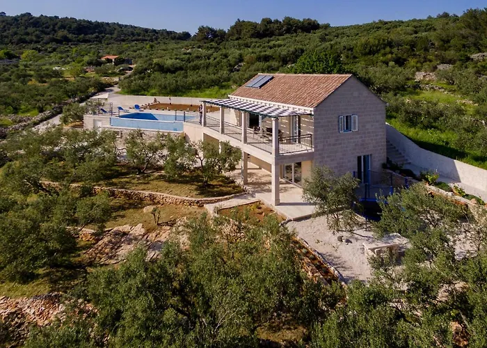 The Olive Tree Sumartin