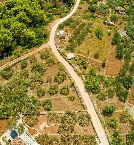 The Olive Tree Villa *