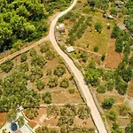 The Olive Tree Вилла *