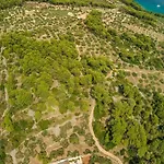 Вилла The Olive Tree Сумартин