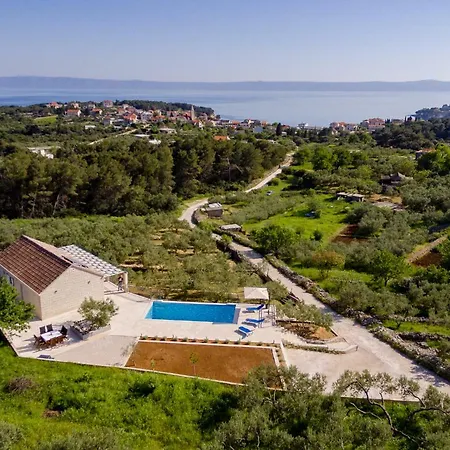 The Olive Tree Villa