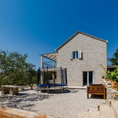 The Olive Tree