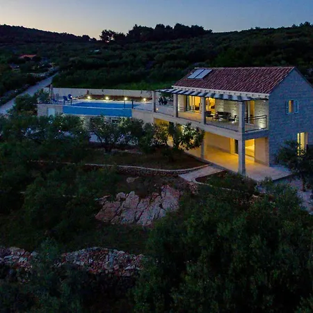 The Olive Tree * Sumartin