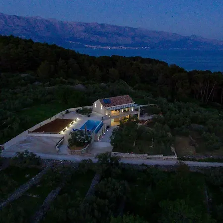 Villa The Olive Tree *