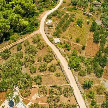 The Olive Tree Villa *