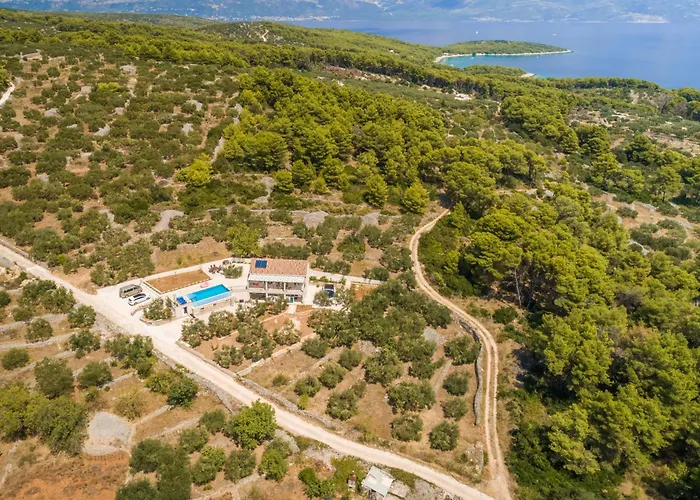 The Olive Tree Villa Sumartin