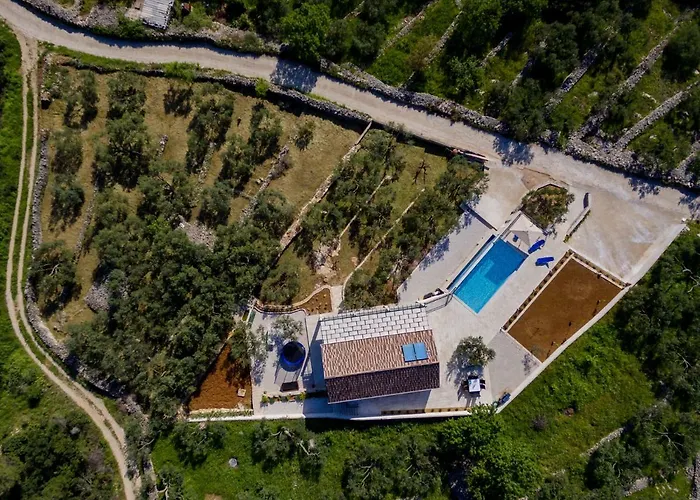 The Olive Tree * Sumartin