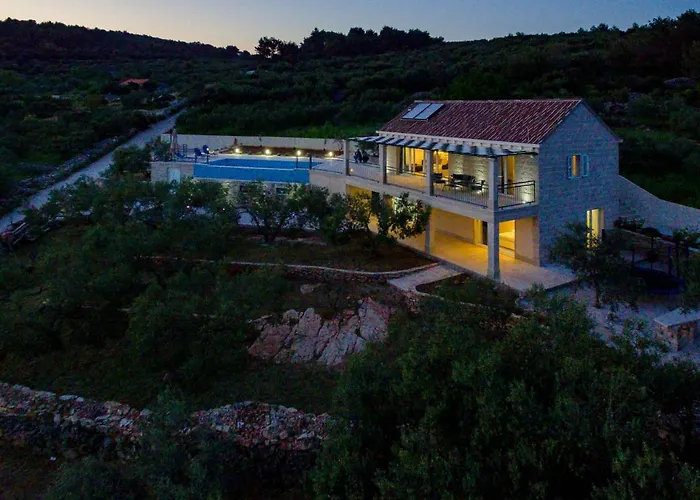 The Olive Tree * Sumartin