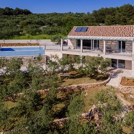 The Olive Tree Villa *