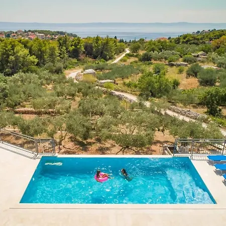 Villa The Olive Tree Sumartin