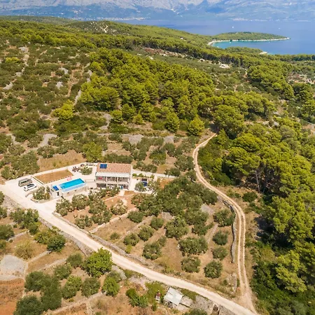 The Olive Tree Villa Sumartin