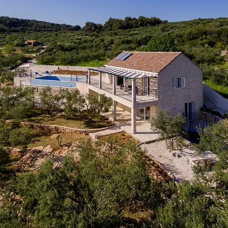 The Olive Tree Sumartin