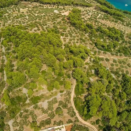 וילה The Olive Tree סומרטין