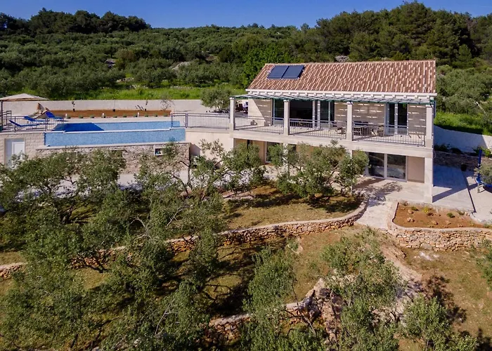 The Olive Tree Vila *