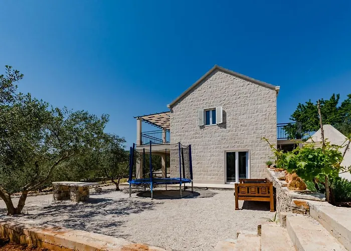 The Olive Tree