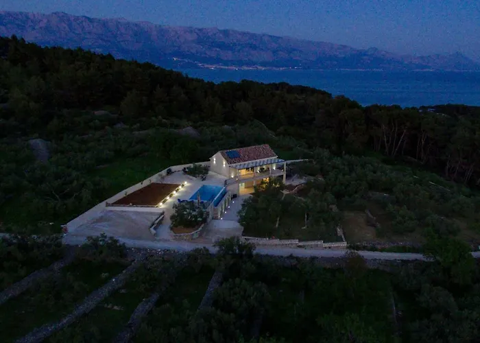 Vila The Olive Tree *