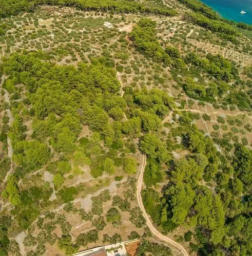 Vila The Olive Tree Sumartin